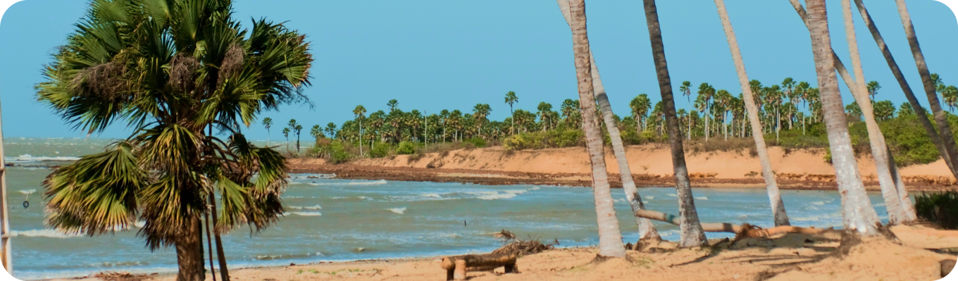 Cajueiro da Praia